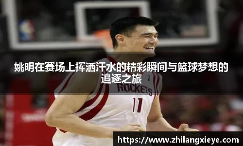 姚明在赛场上挥洒汗水的精彩瞬间与篮球梦想的追逐之旅