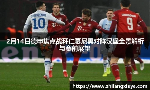 2月14日德甲焦点战拜仁慕尼黑对阵汉堡全景解析与赛前展望