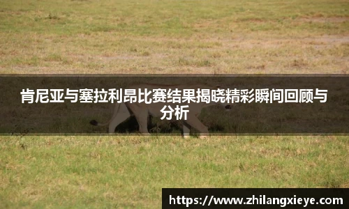 九游会(J9)-真人游戏第一品牌