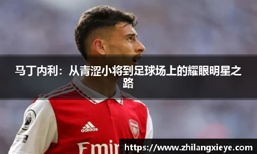 九游会·(j9)官方网站